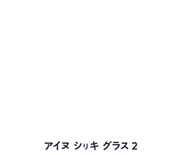 AINU SIRKI Glasses2 気分が変わる。未来も変わる。