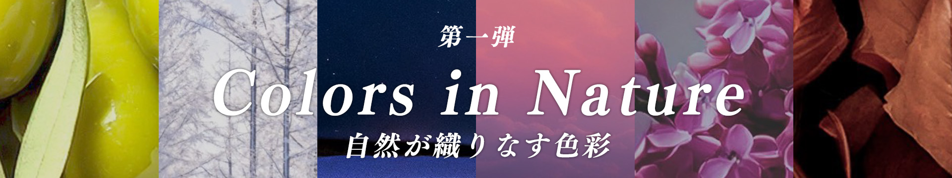 第一弾 自然が織りなす色彩