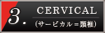 サービカル＝頚椎