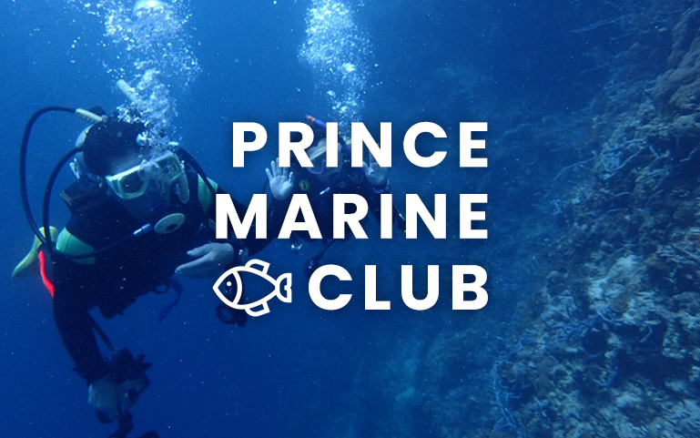PRINCE RINCE MARINE CLUB