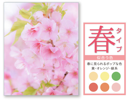 Megapuri Beauty 公式サイト メガネのプリンス